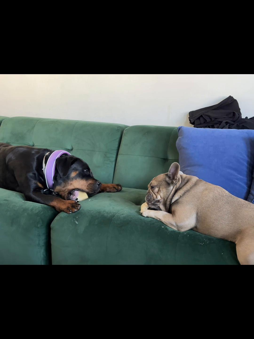 @Doozer_Sprocket_&_Fraggle