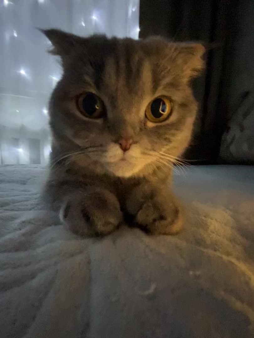 @Тгк в описании💘