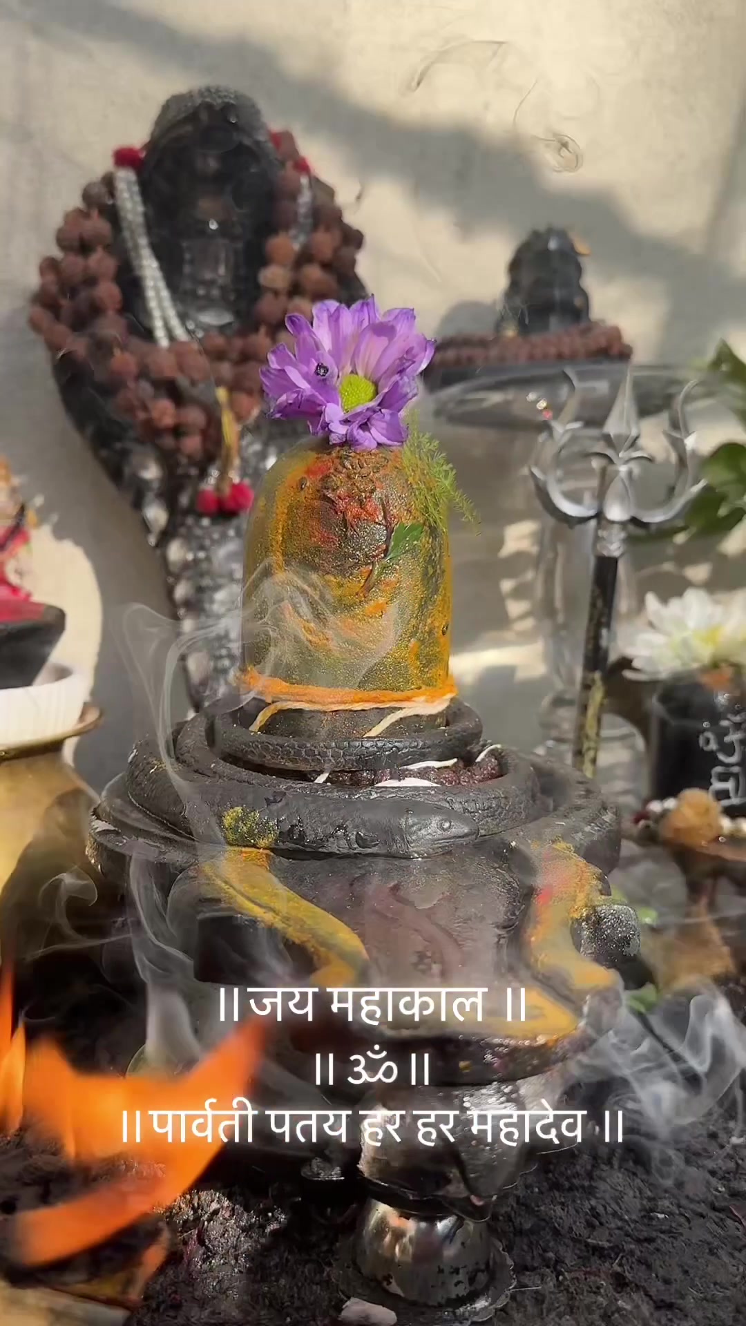 @ਵਲੈਤੀ ਪੰਜਾਬਣ sukh/ਸੁਖ