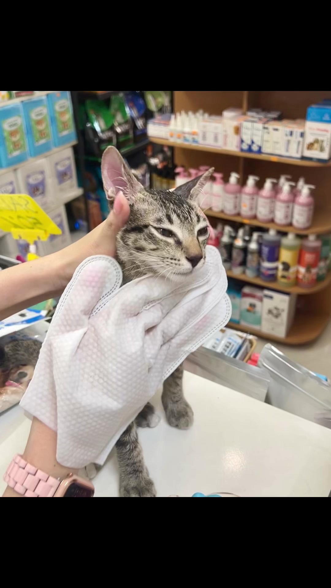 @TiTi Pet