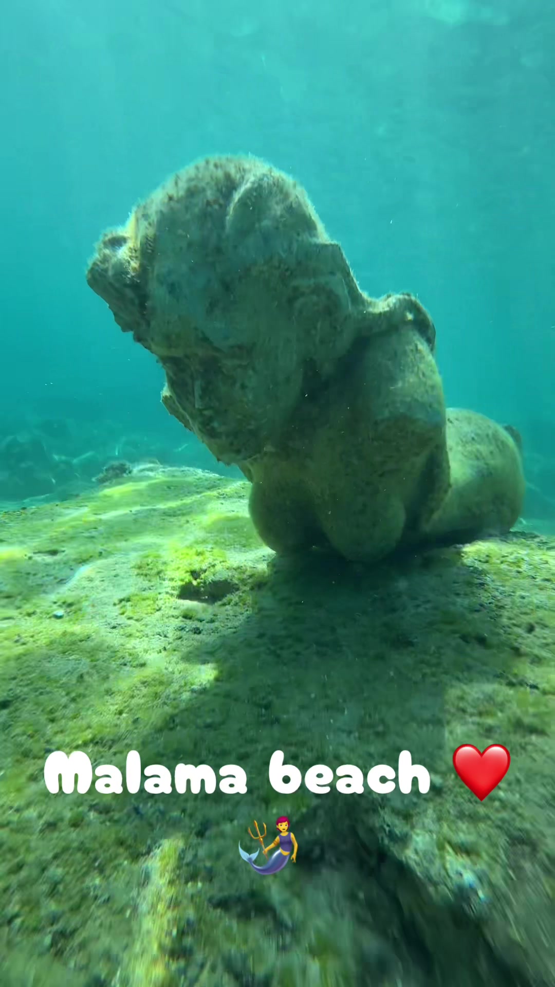 @fenixgood111