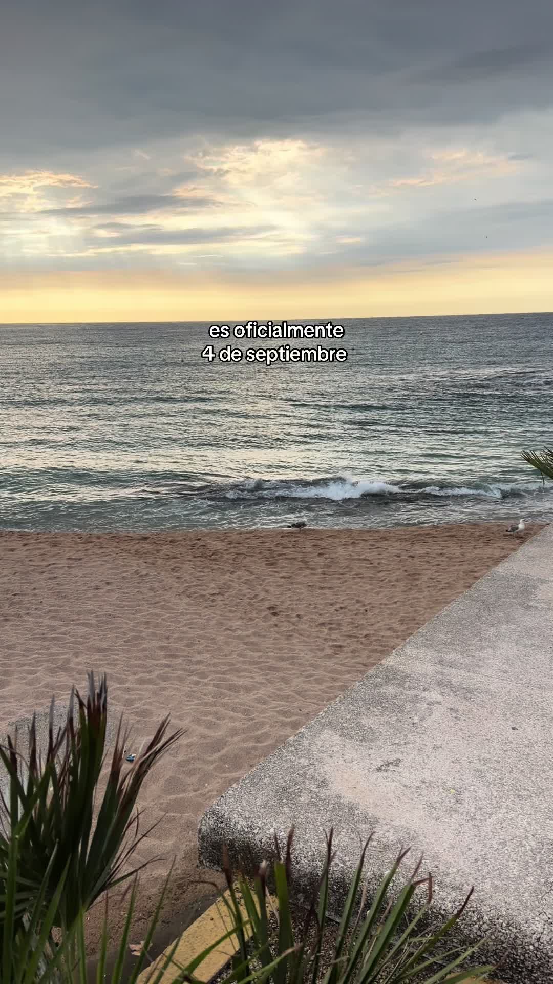 @𝐋𝐮𝐜𝐢𝐚🧿