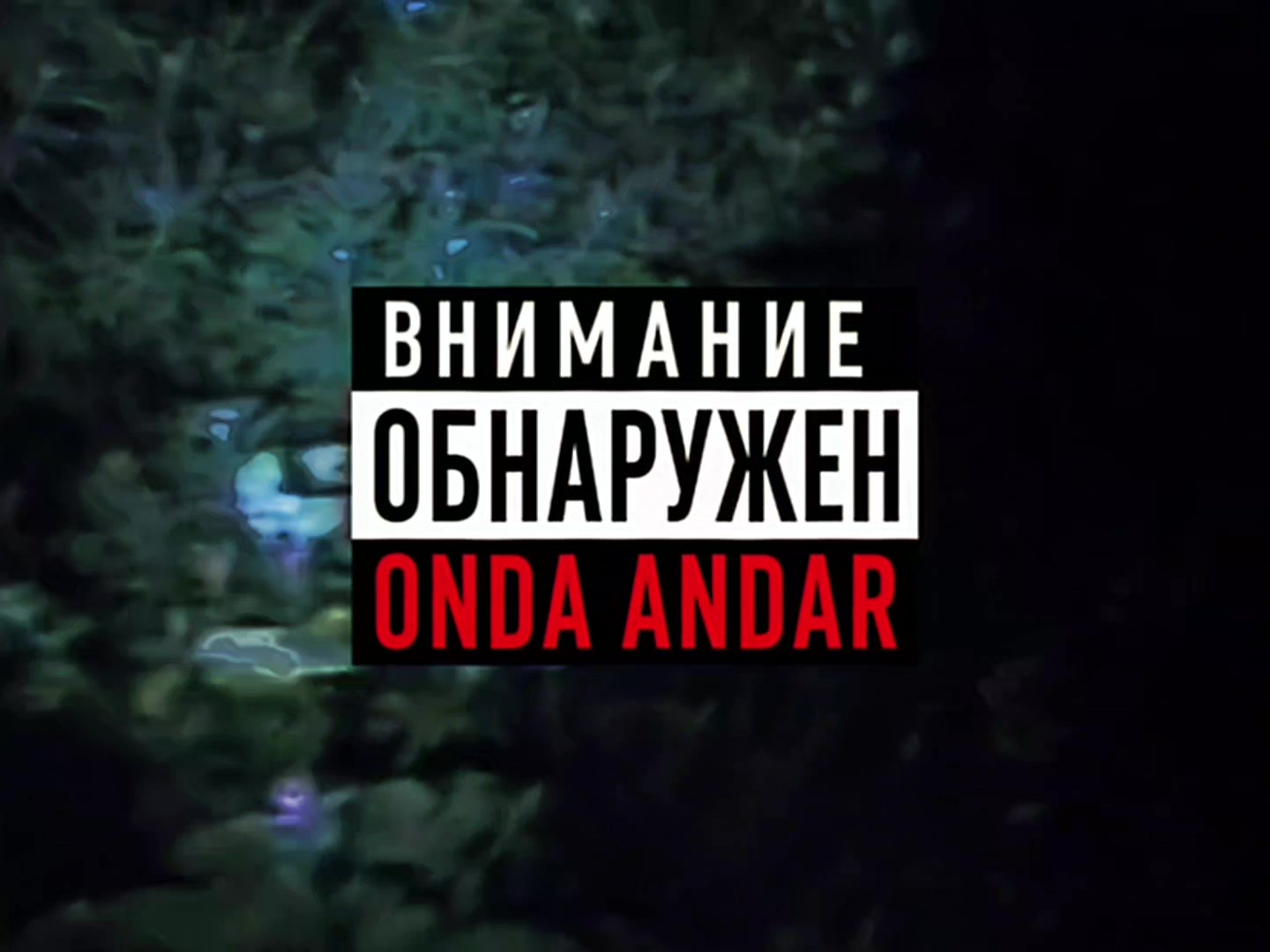 @паранойя