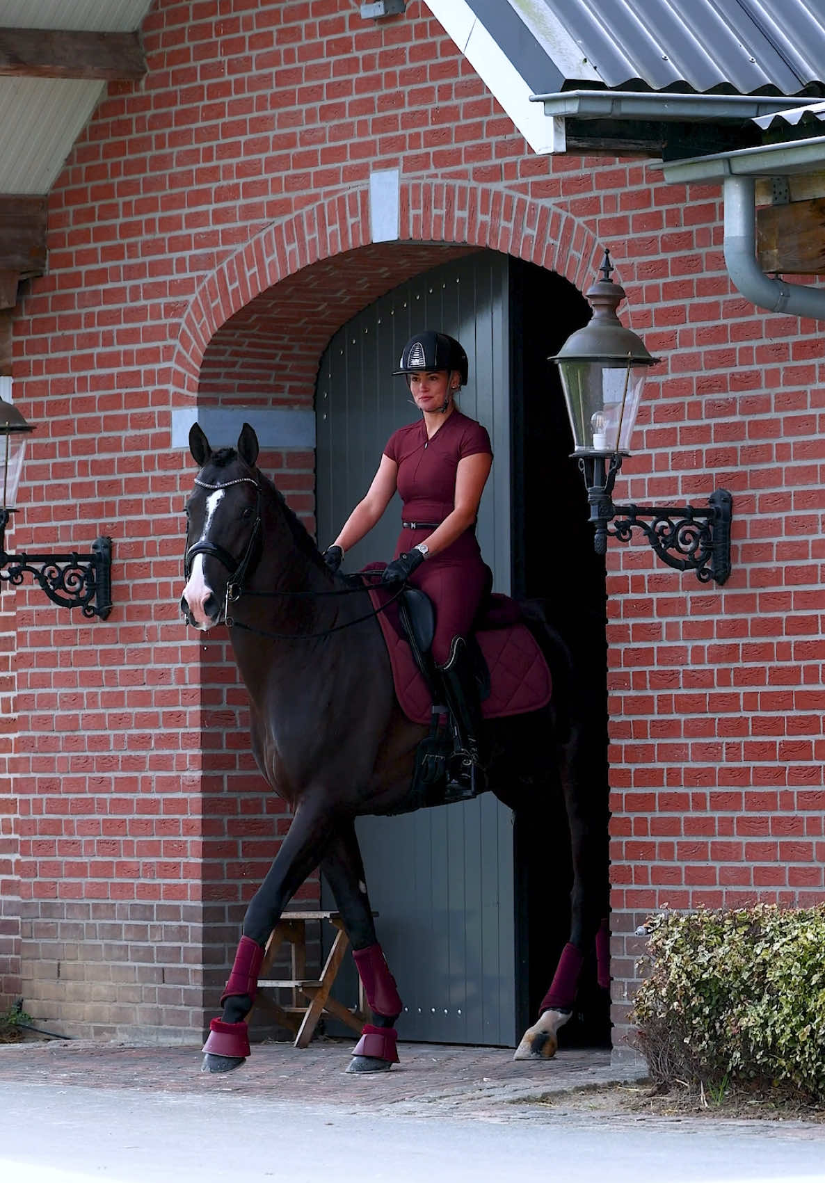 @Maximilian Equestrian