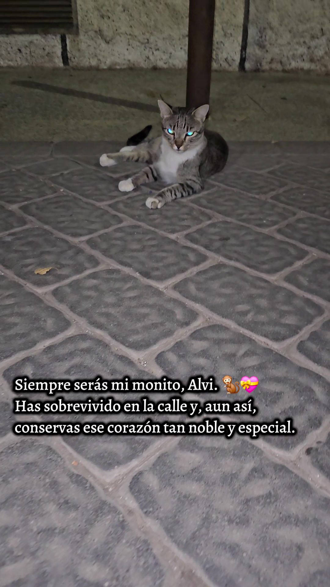 @garritasespaciales