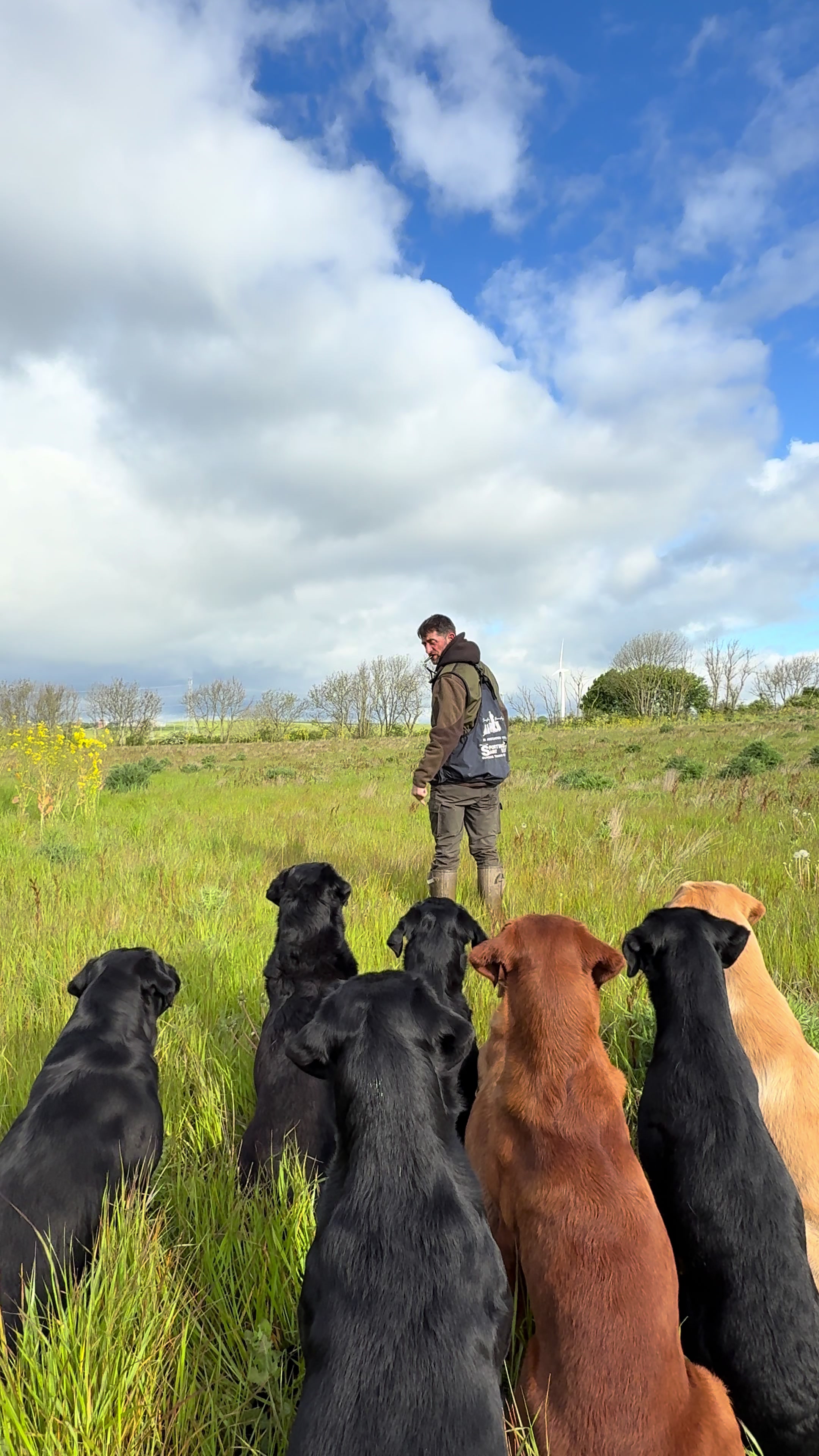 @slingleygundogs