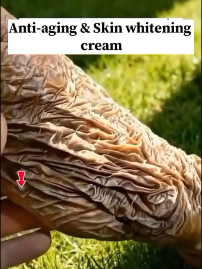 @fatimaayyyy