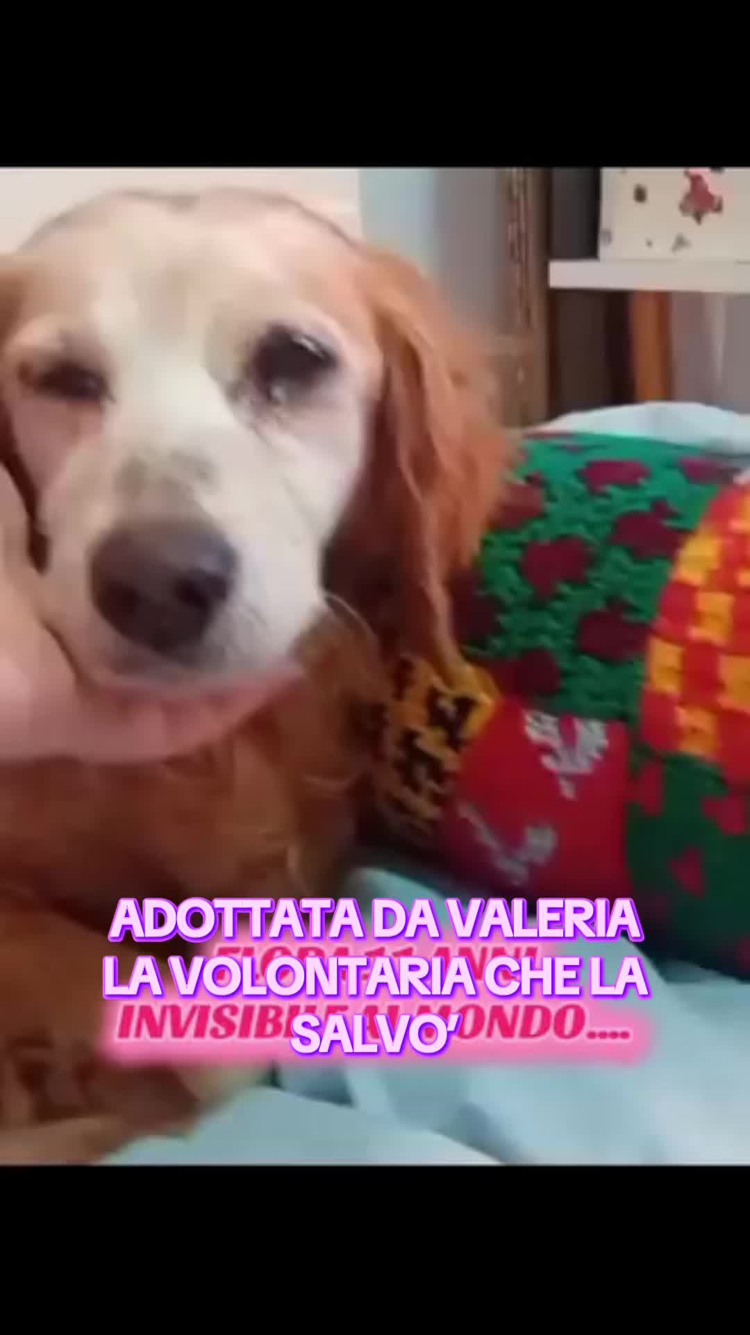 @la_babi_17