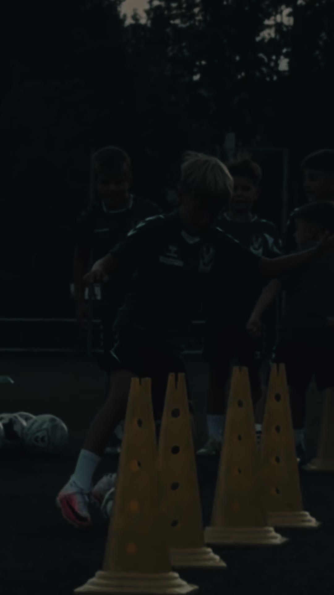 @Senko Kujovic