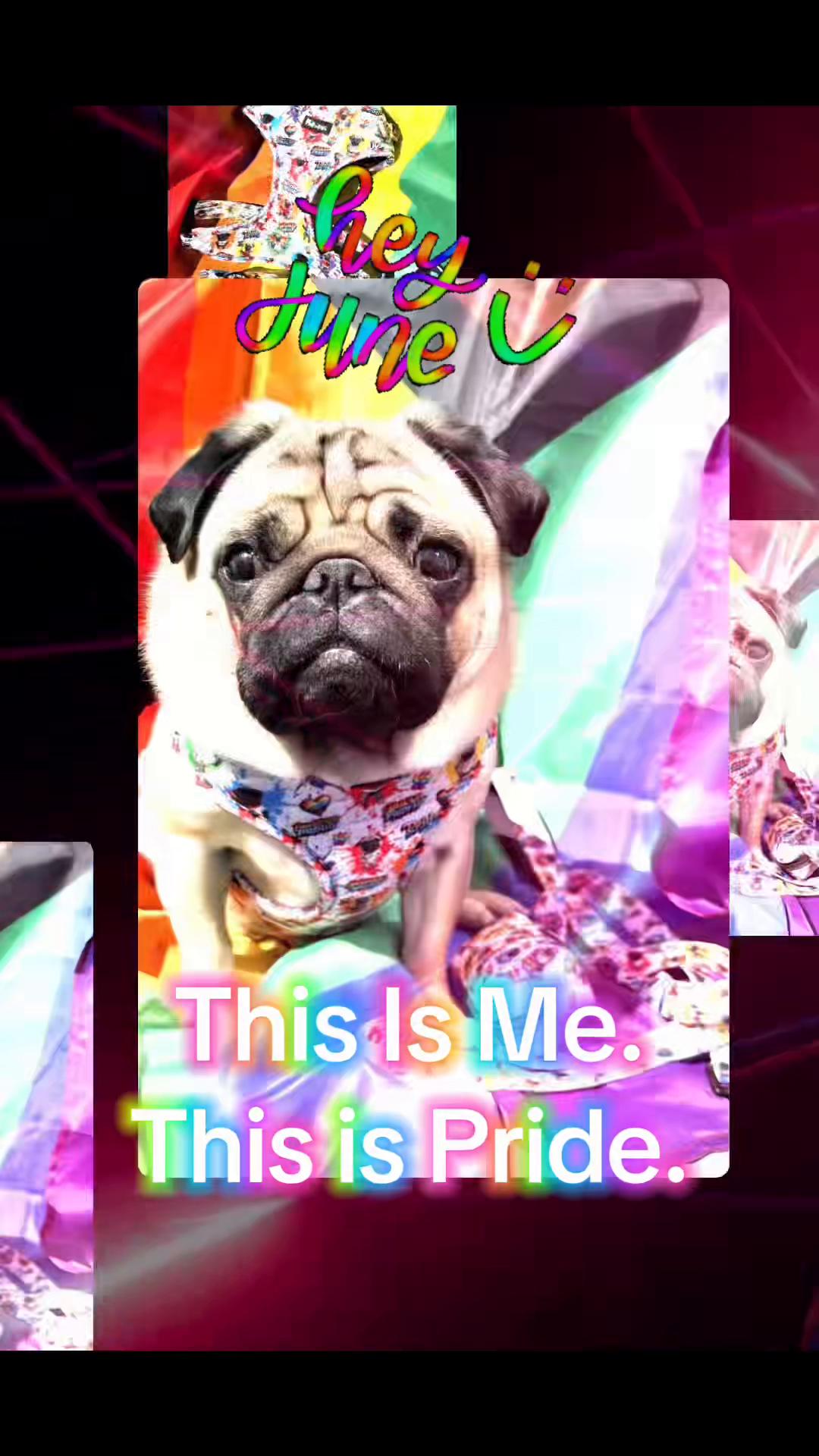 @Phil The Pug