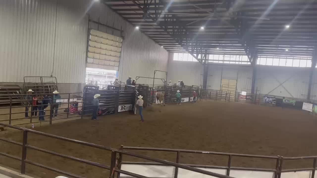@B&G Bucking Bulls
