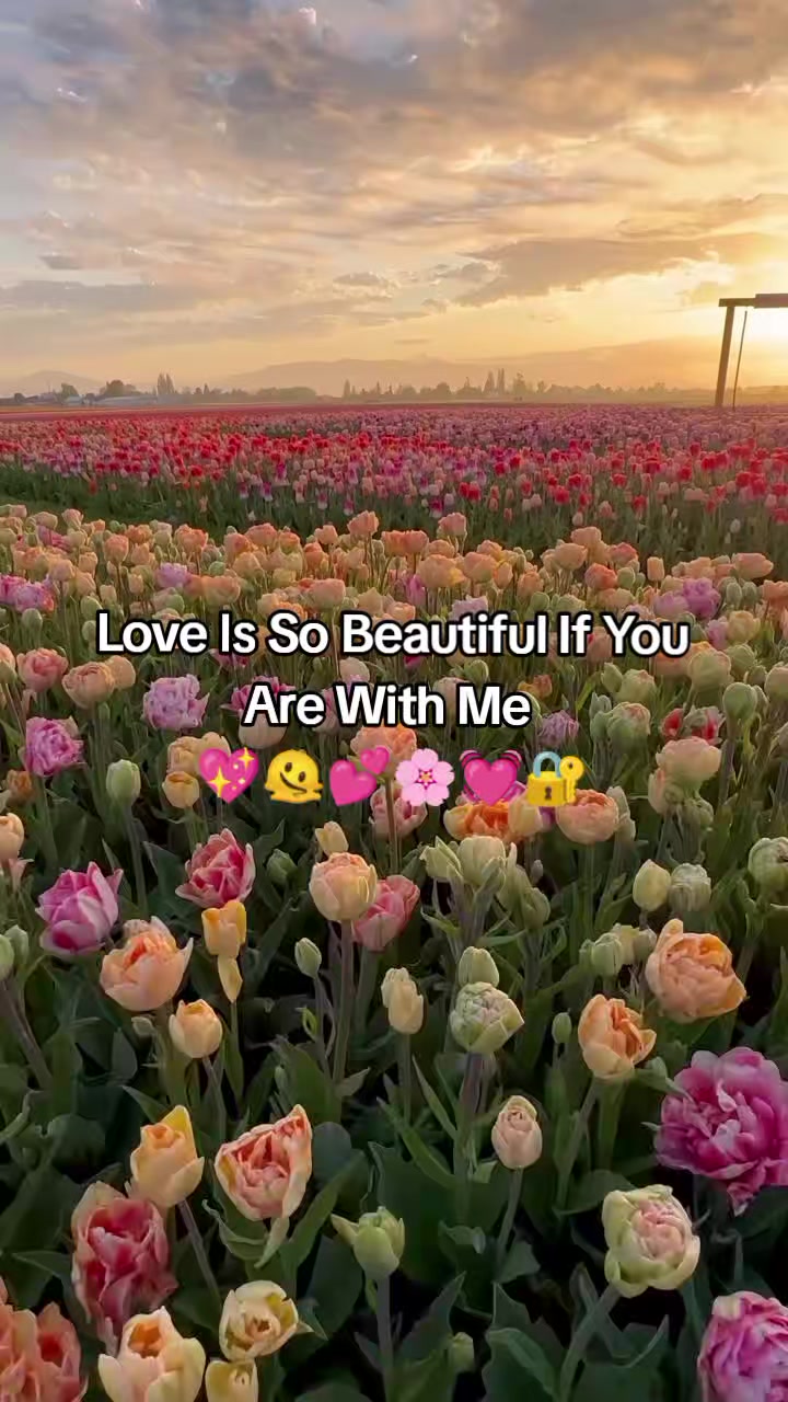 @[&deg;&bull;𝐈𝐭𝐳 𝐒𝐡&egrave;𝐡𝐫ī&deg;&bull;♡]^❤✨