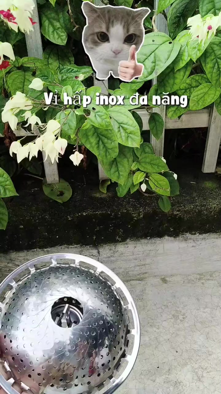 @Nguyễn Thiện Nh&acirc;n