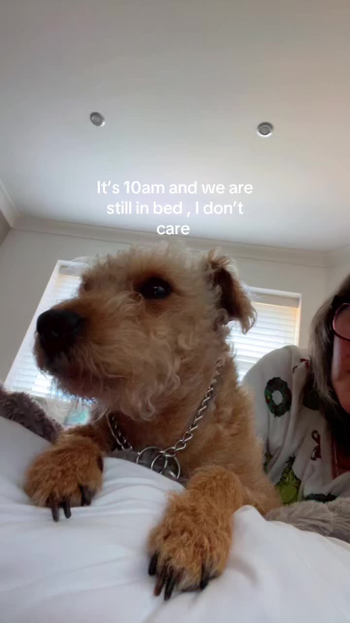 @👩🏻🦳❤️🐕