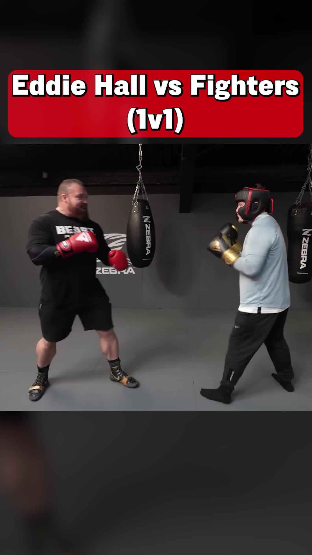 @Eddie Hall - The Beast