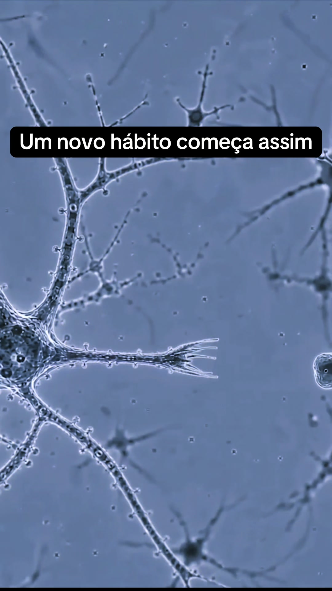 @Alexandre Teixeira/ Psicólogo
