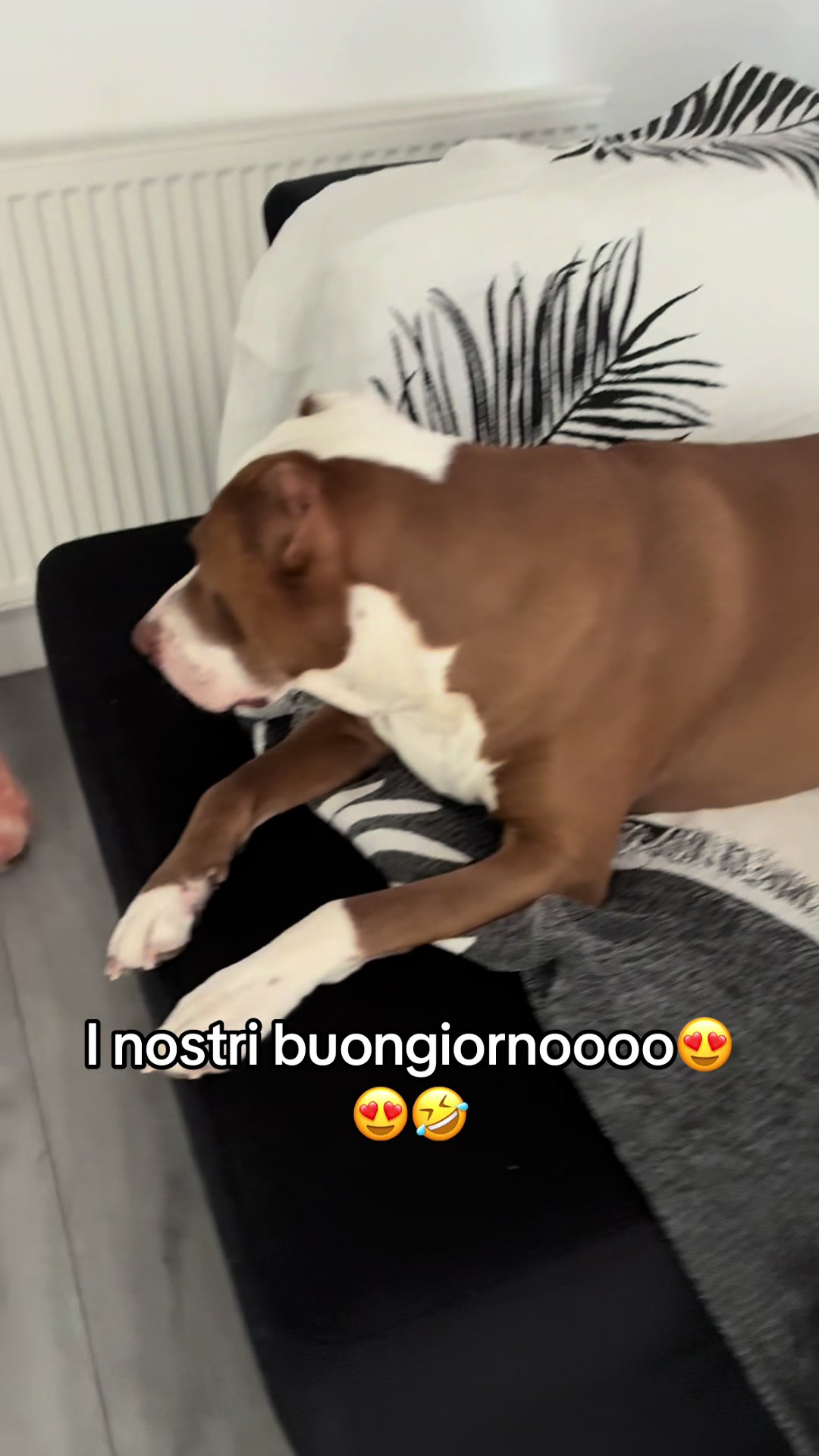 @Emanuela & Pablo