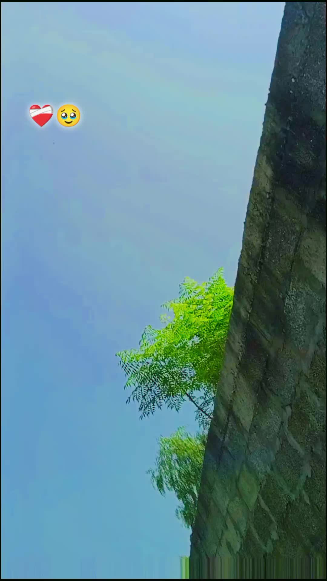 @Aisha🫶