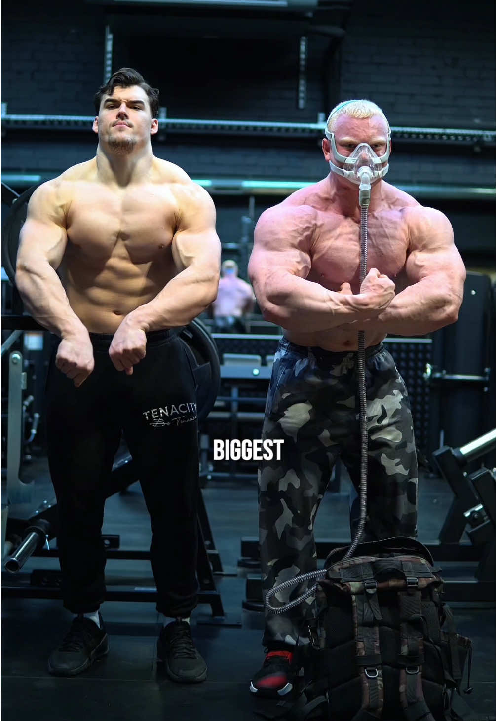 @DAVIDPT