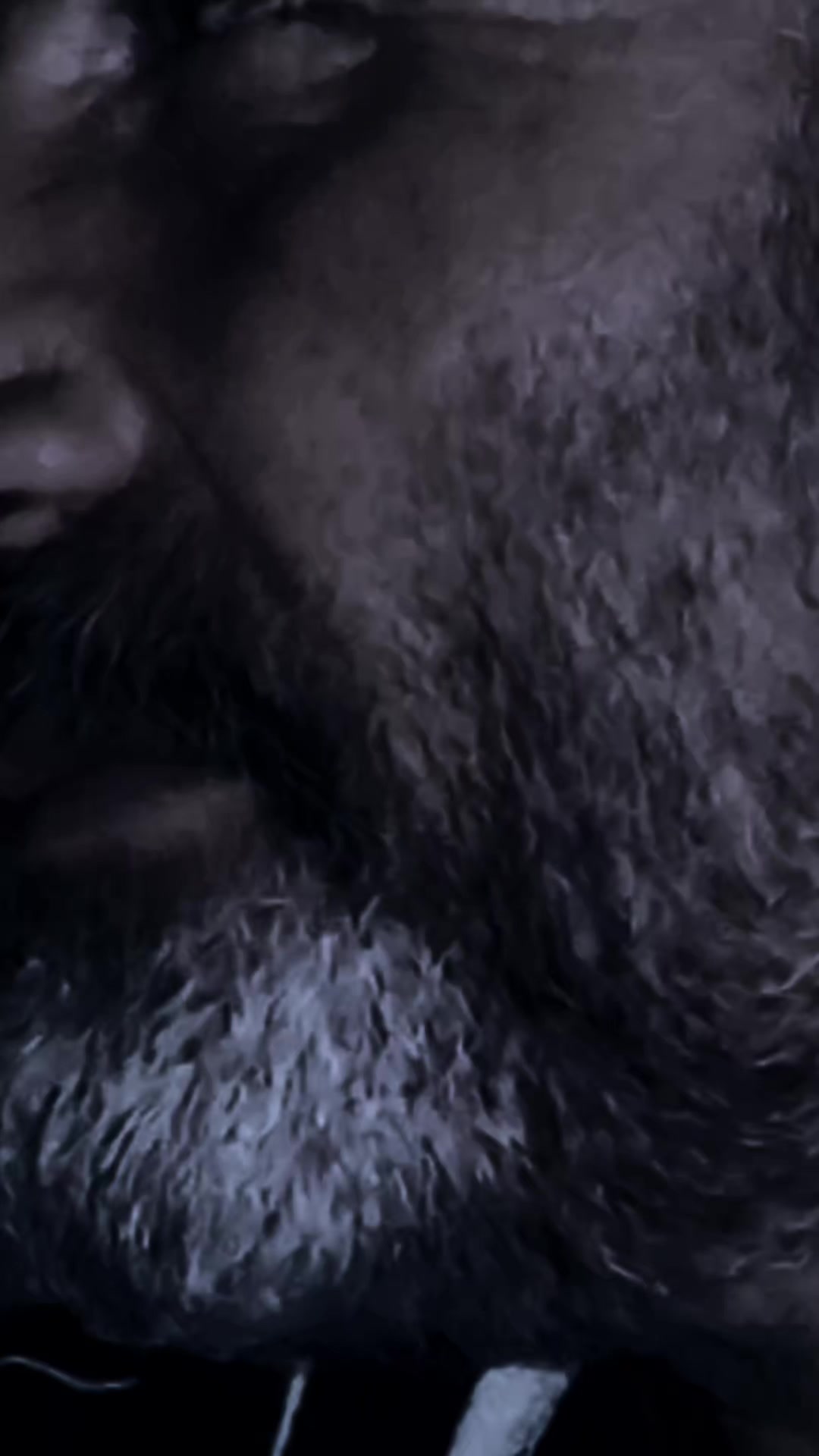 @𝙠𝙖𝙧𝙖𝙙𝙖𝙮ı