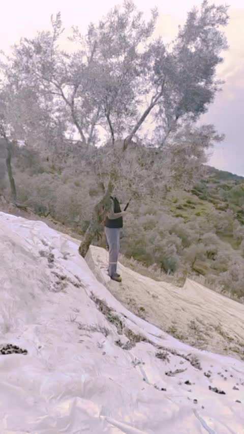 @GÖZDERKAN