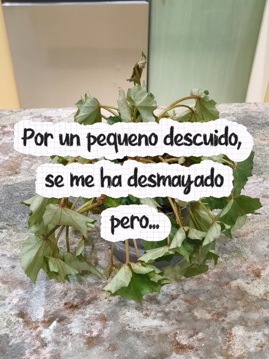 @๐ด๐ P๐๐๐๐๐๐๐๐๐๐