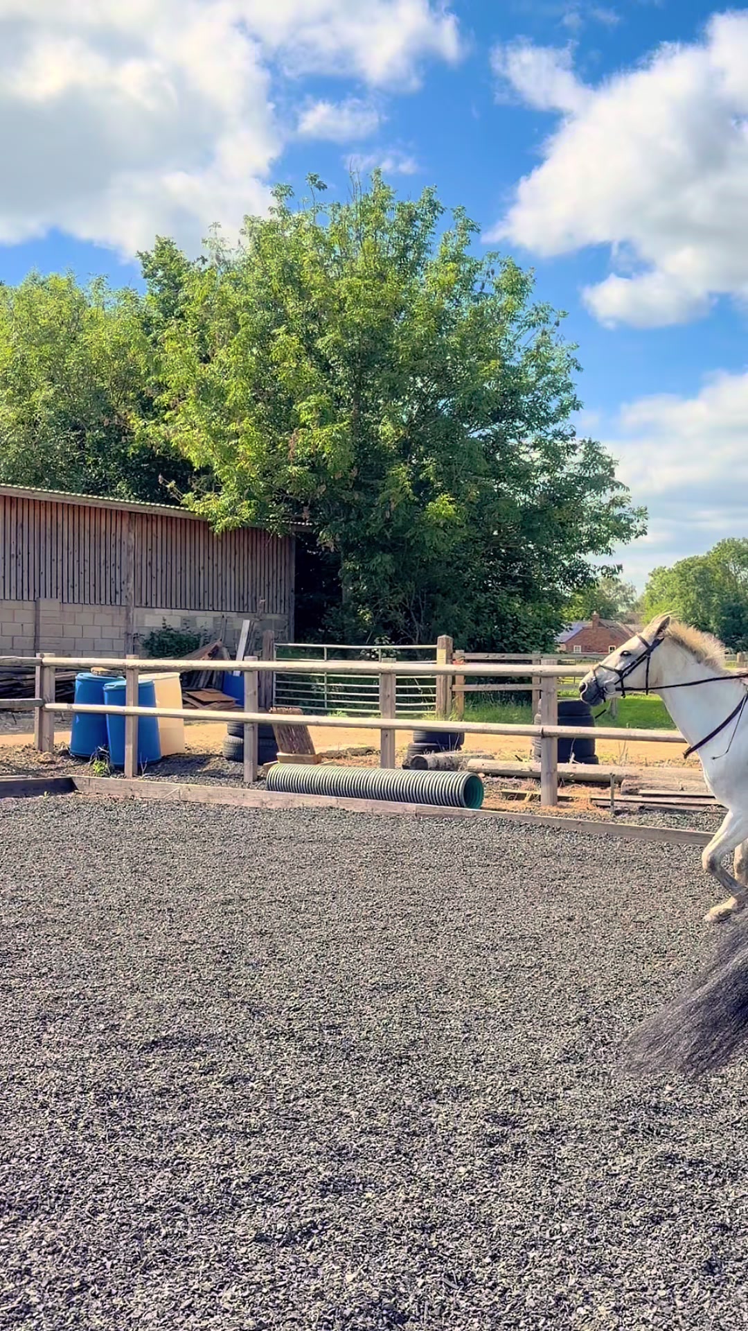 @Nina’s Pony Adventures ❤️