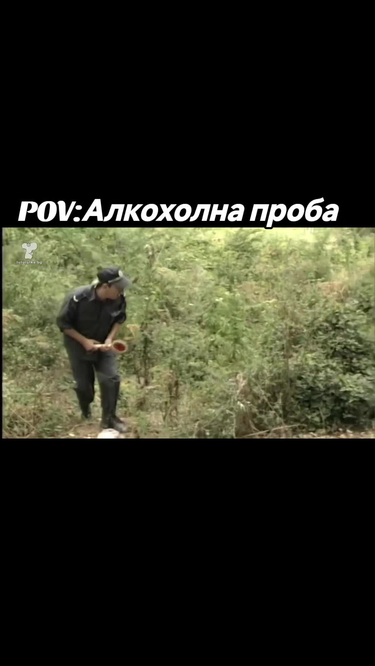 @Вицове и Музика