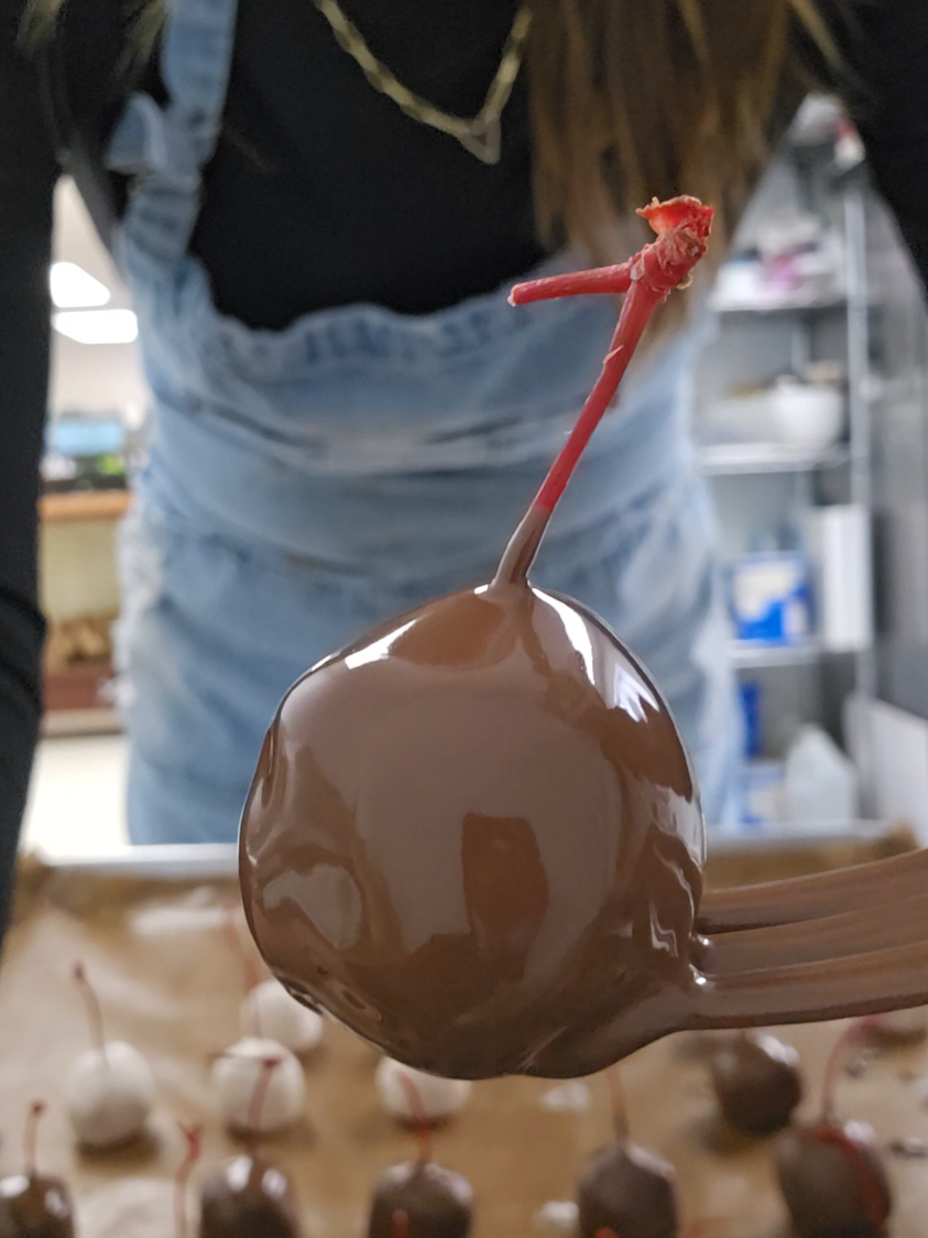 @thechocolatedogmn