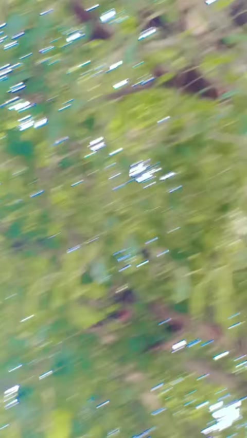 @▄︻デH̷a̷s̷s̷a̷n̷ ══━一