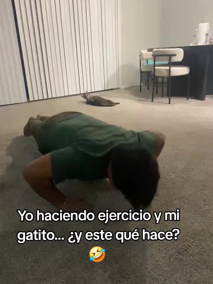 @Jose Roberto