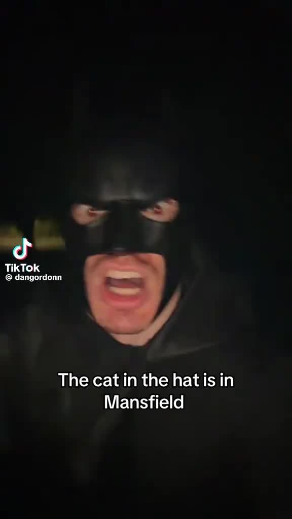 @cat in the hat