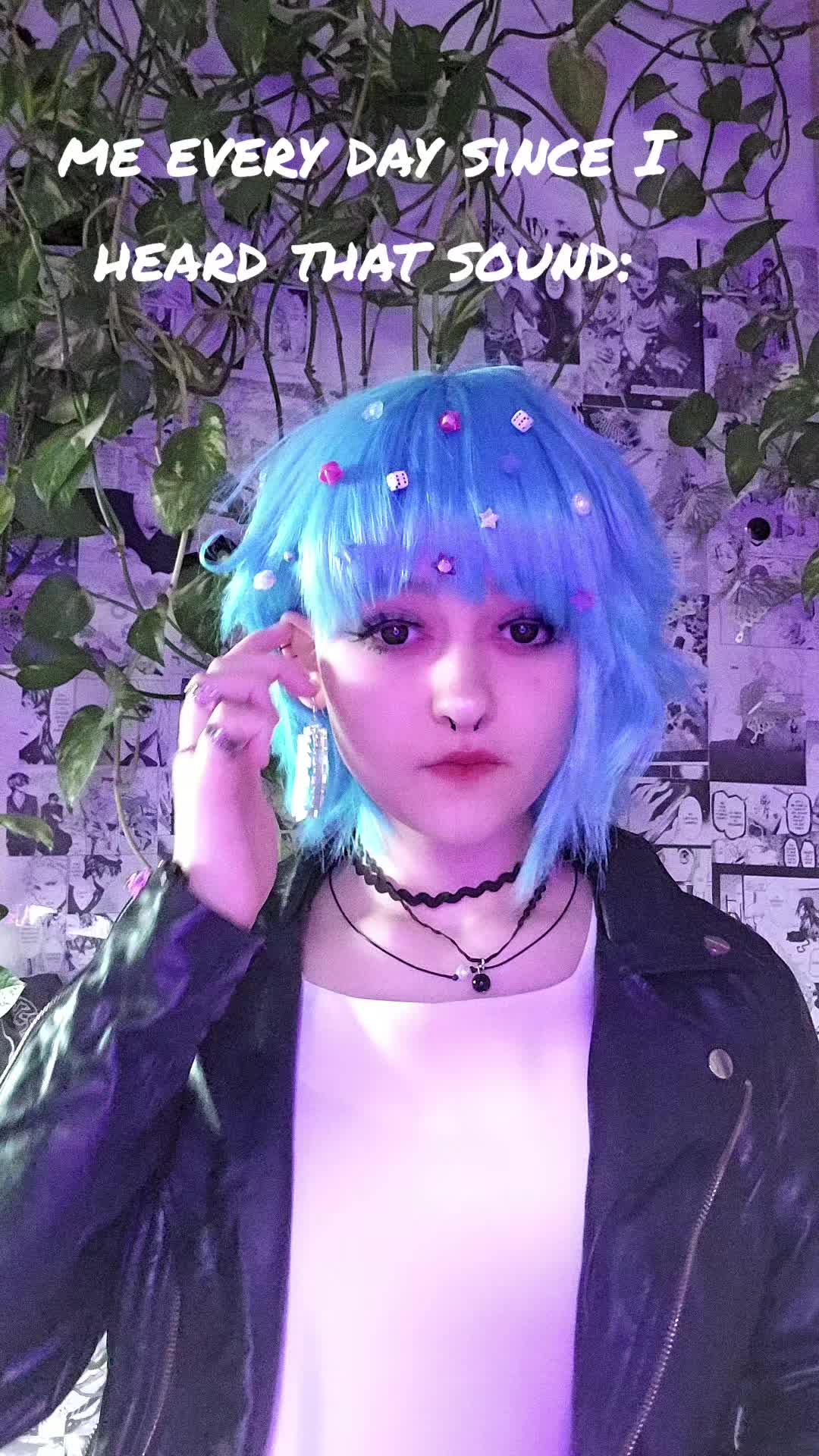 @hauru/harnaś =^._.^=