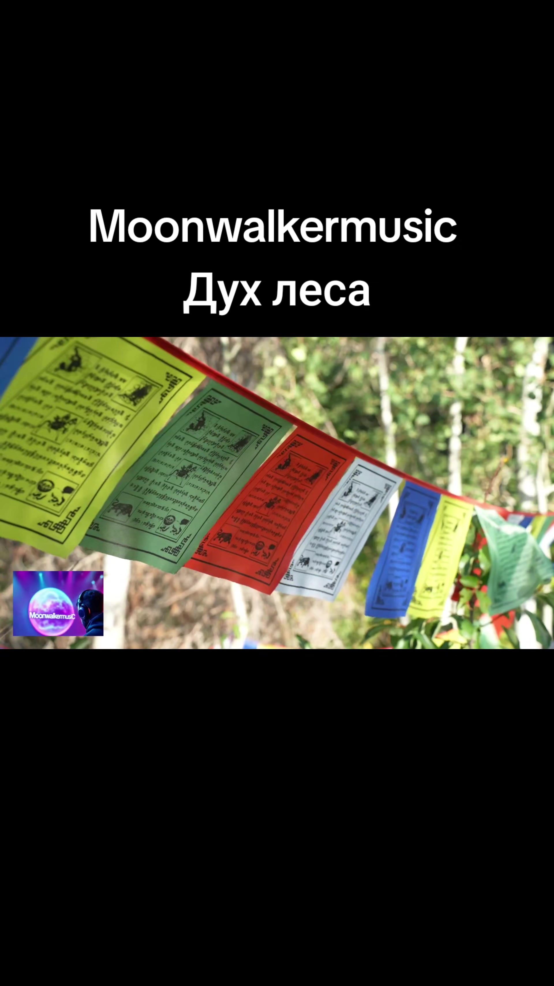 @moonwalkermusic