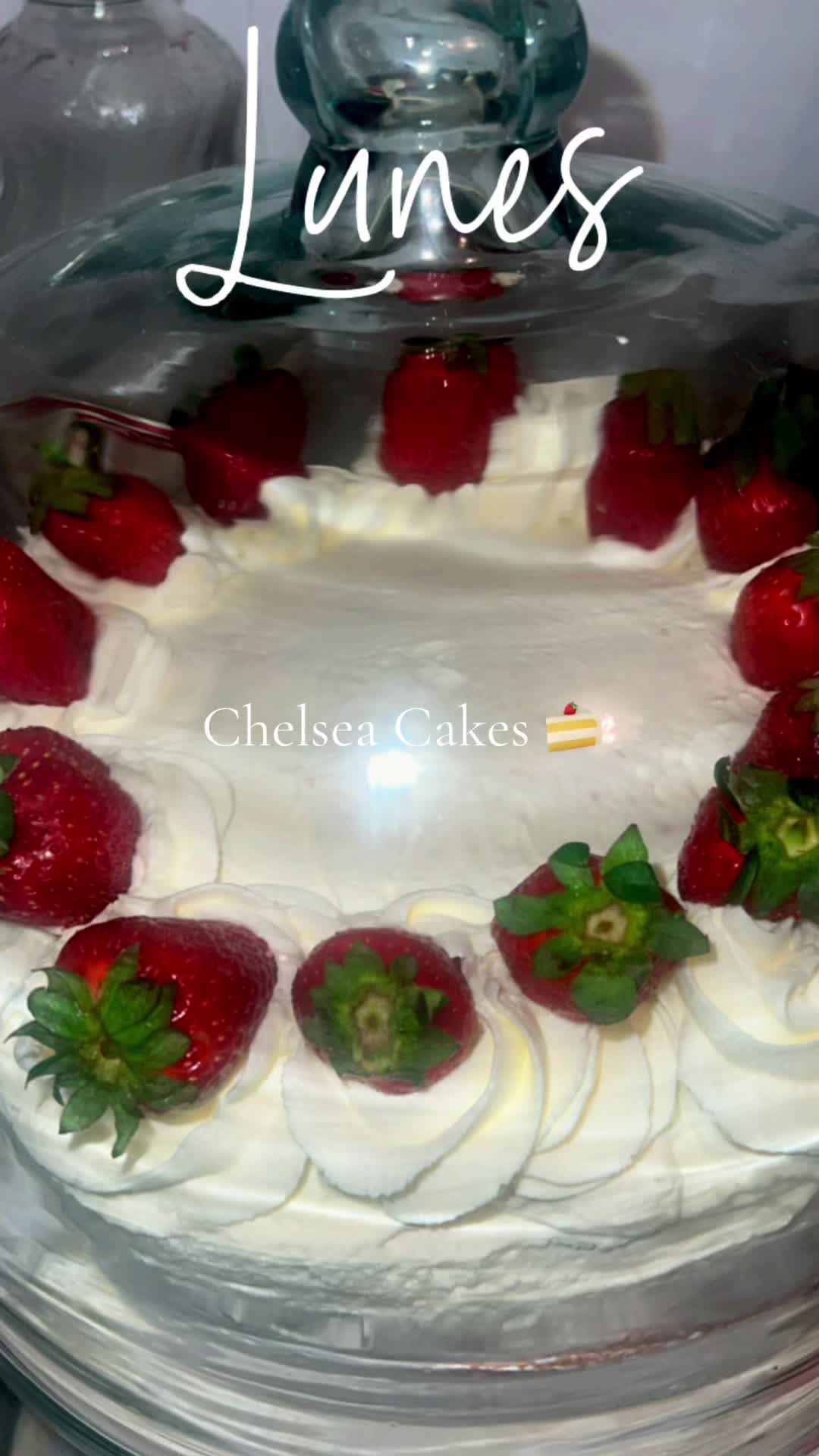 @chelsea.m107