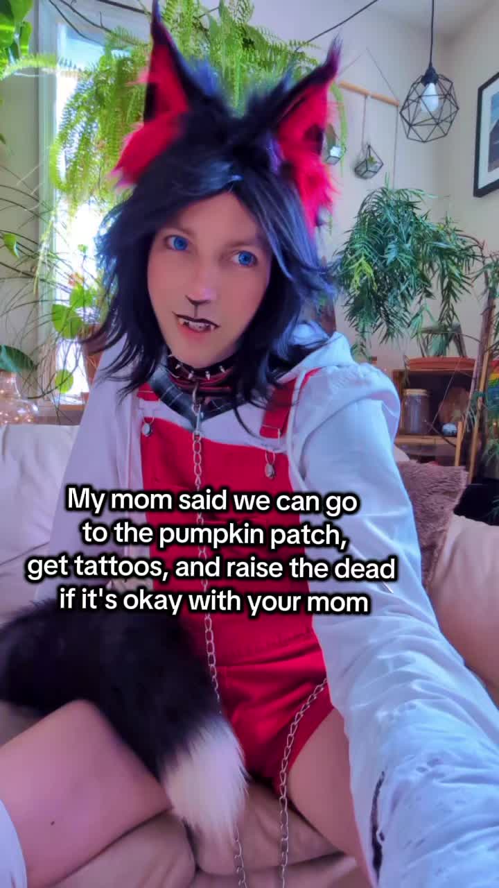 @Starlit Wolf