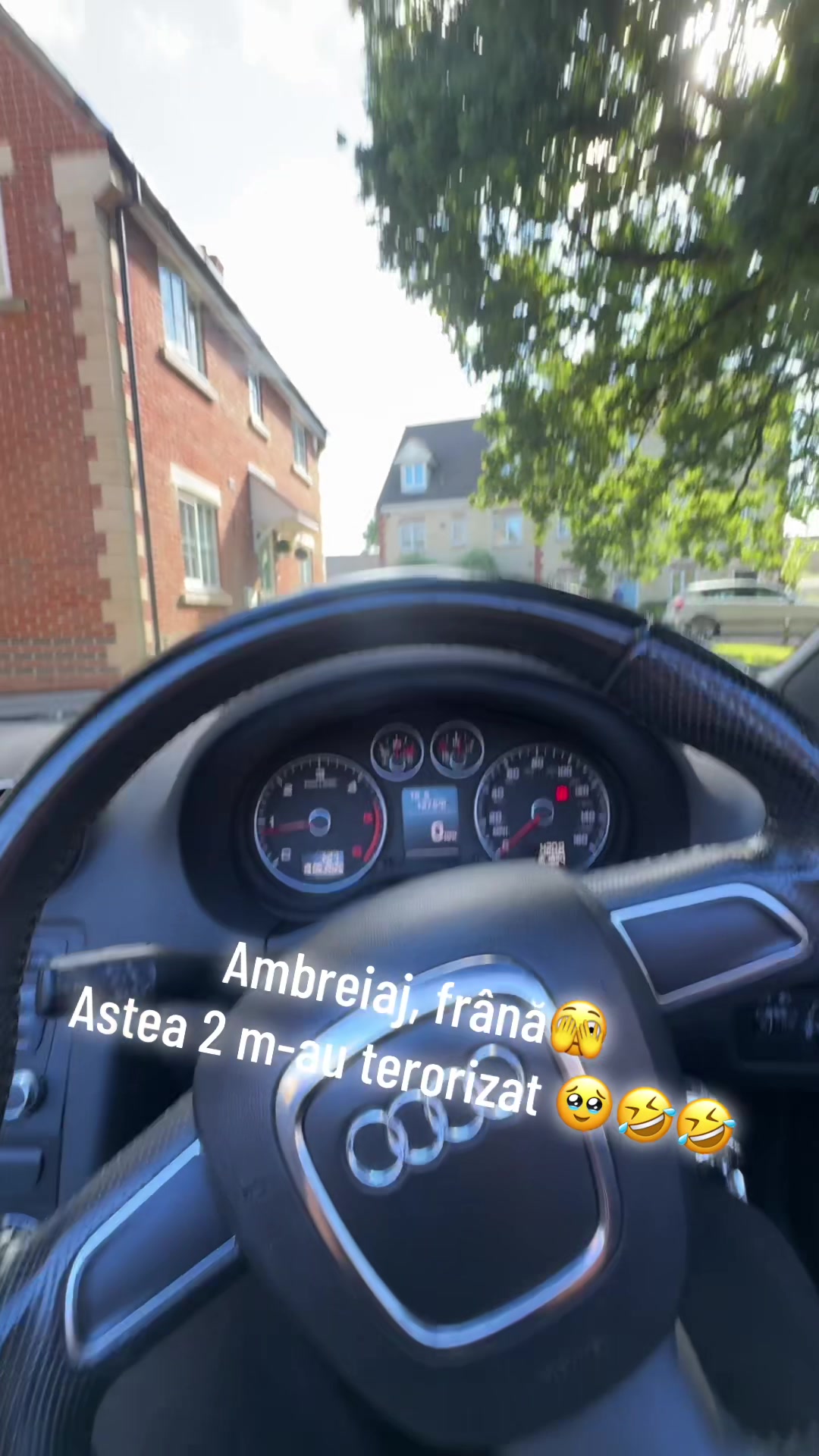 @Larisa Busioc