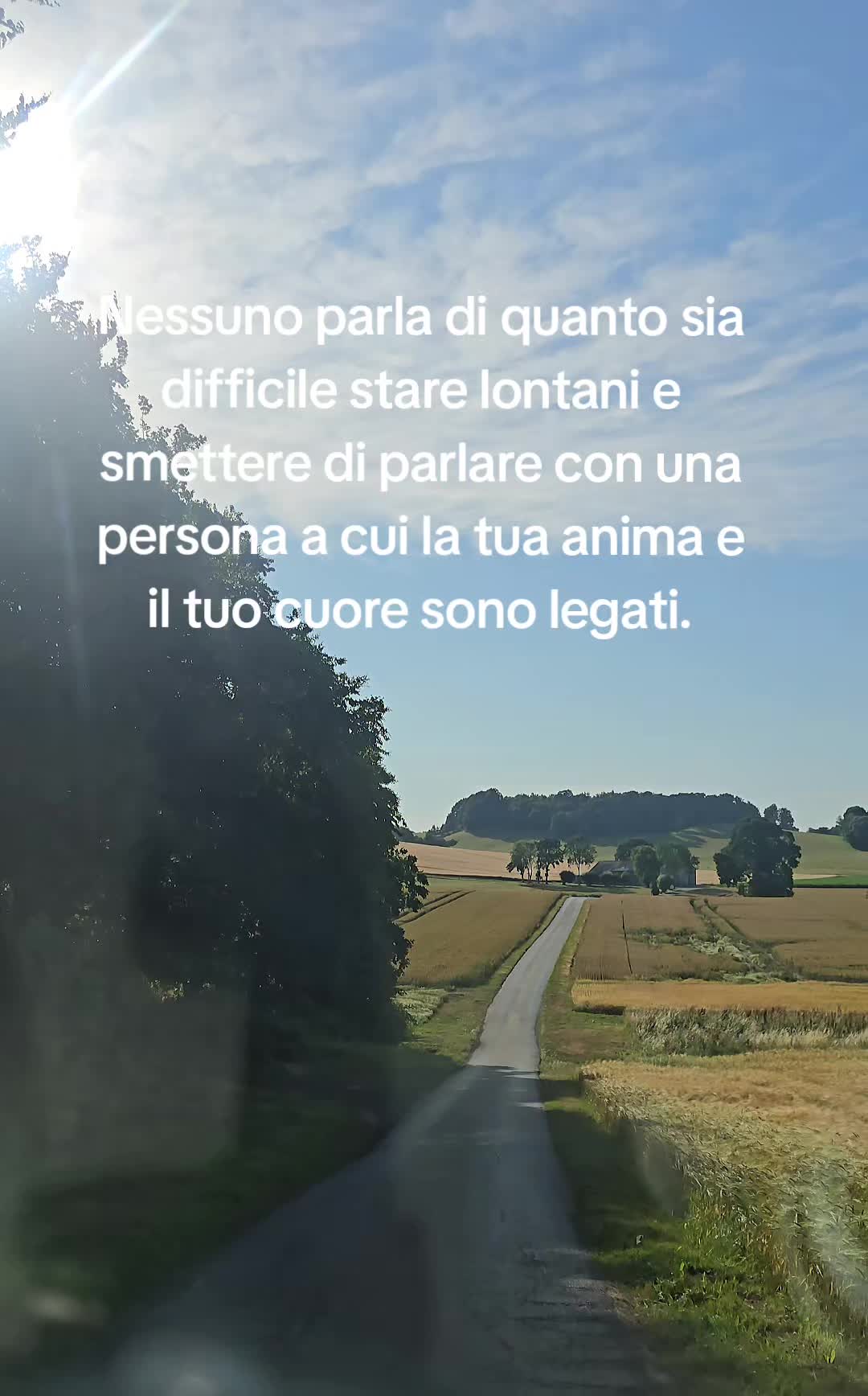 @alex chimu