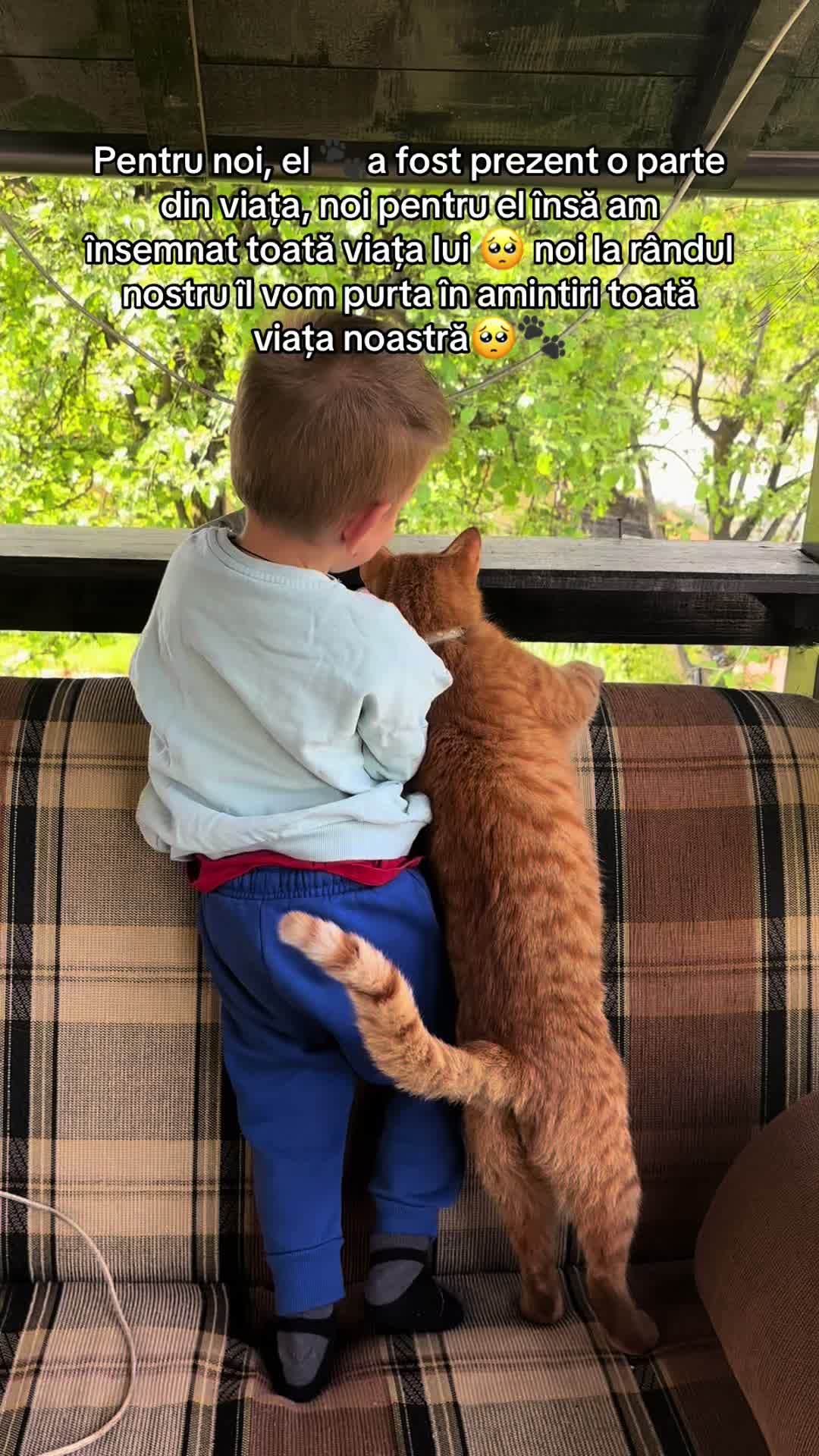 @Ionela Săvulescu