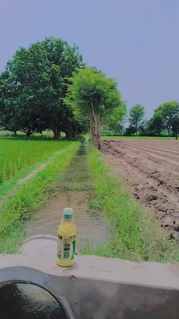 @Sarfraz qadri sahu