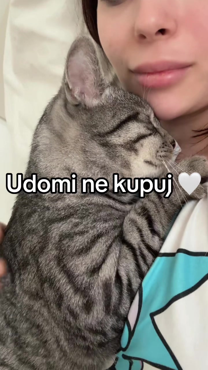 @๐๐ผ๐ฝ๐๐ด๐๐ด