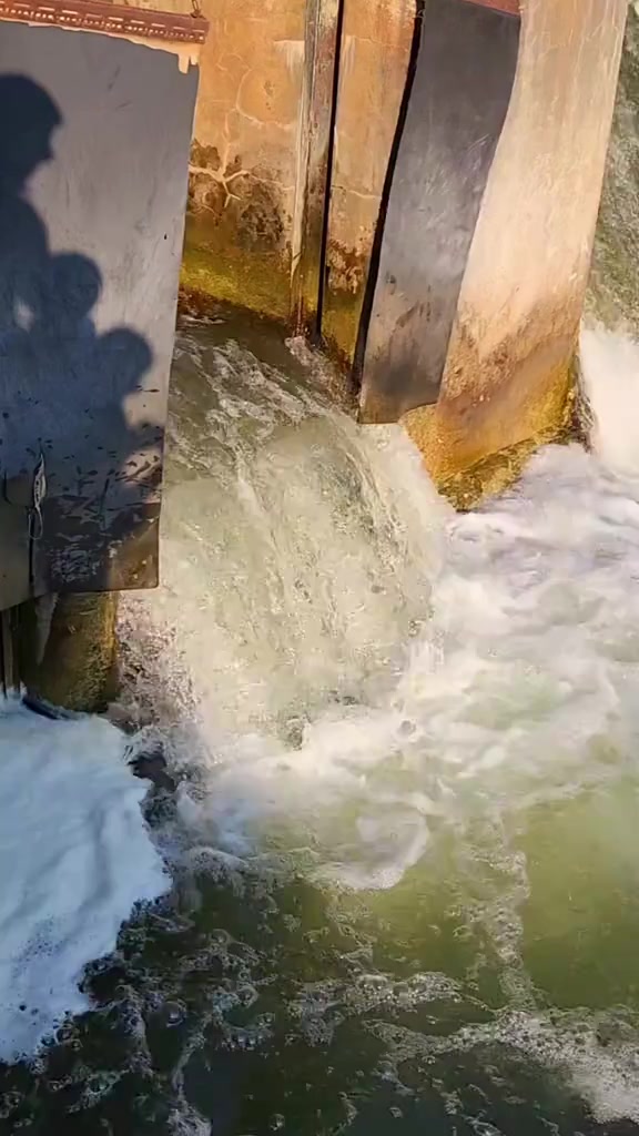 @Hrishi Toronto Food Travel UGC