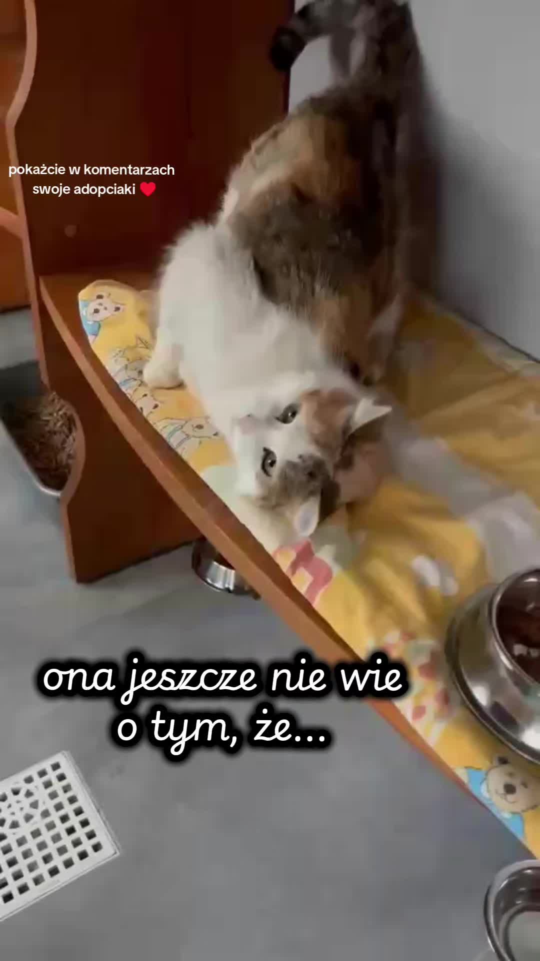 @Ciciorini