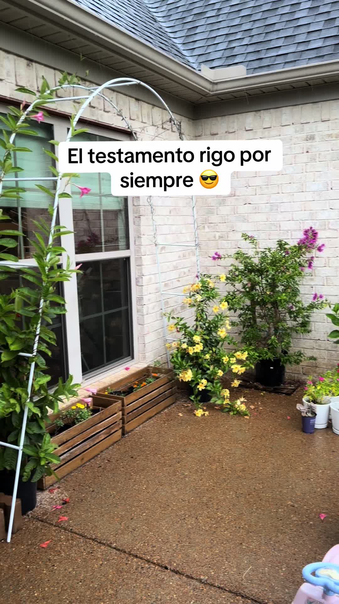 @Azucena Ortiz