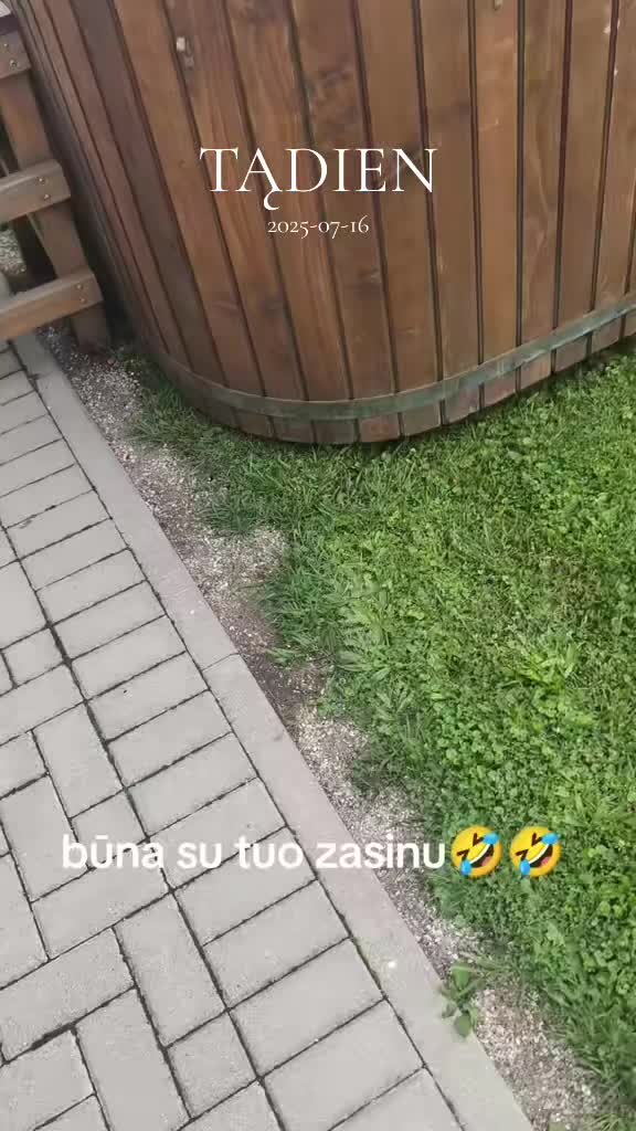 @🐰🐰 Zuikyyyys 🐰🐰