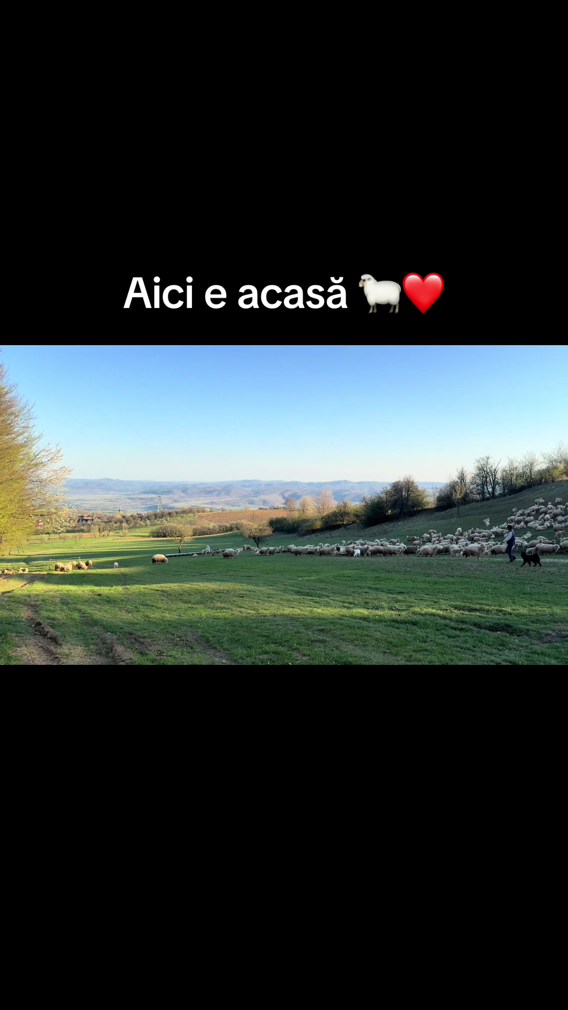 @Noemi🤍