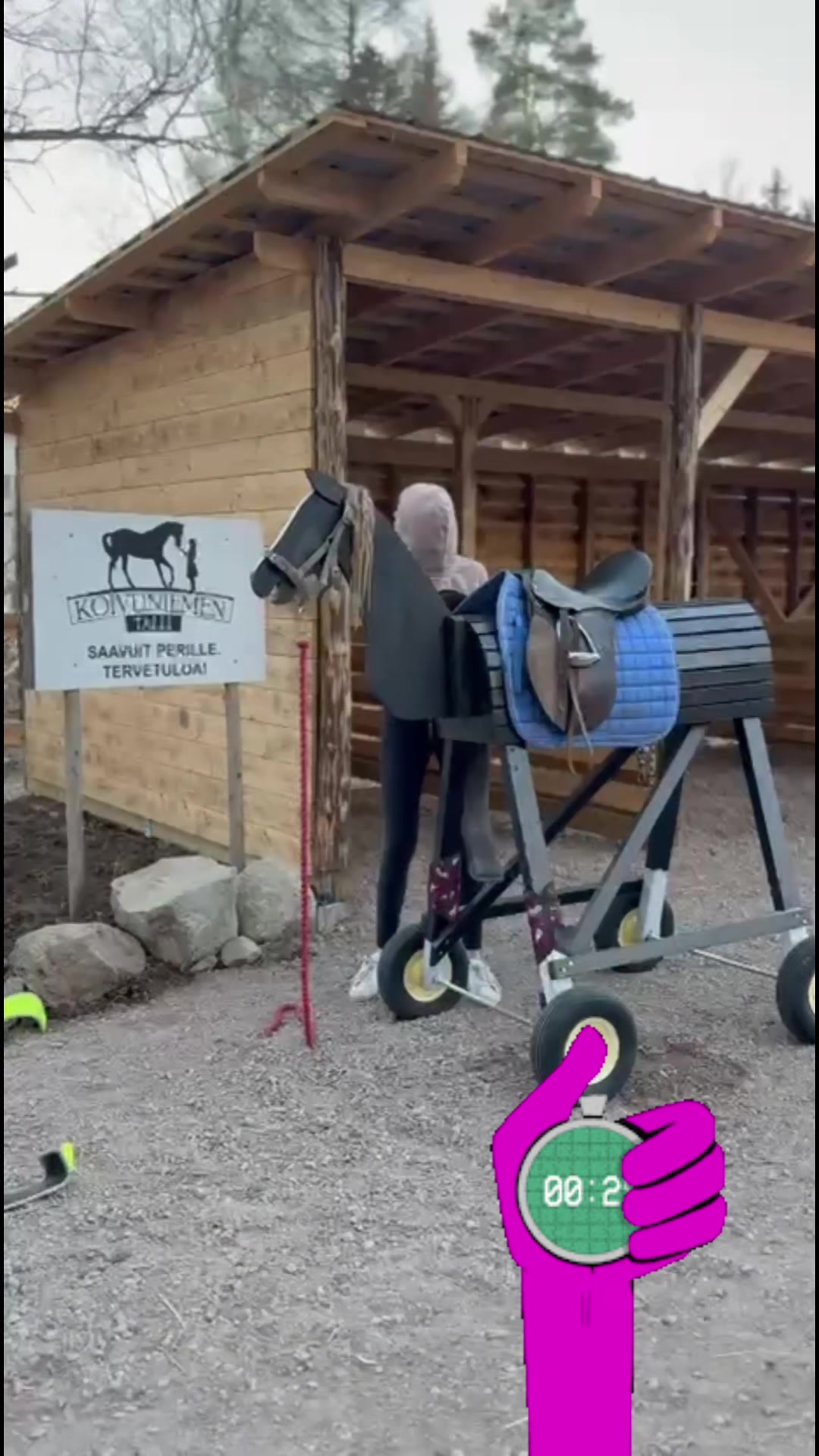 @Koivuniemen talli 🦄