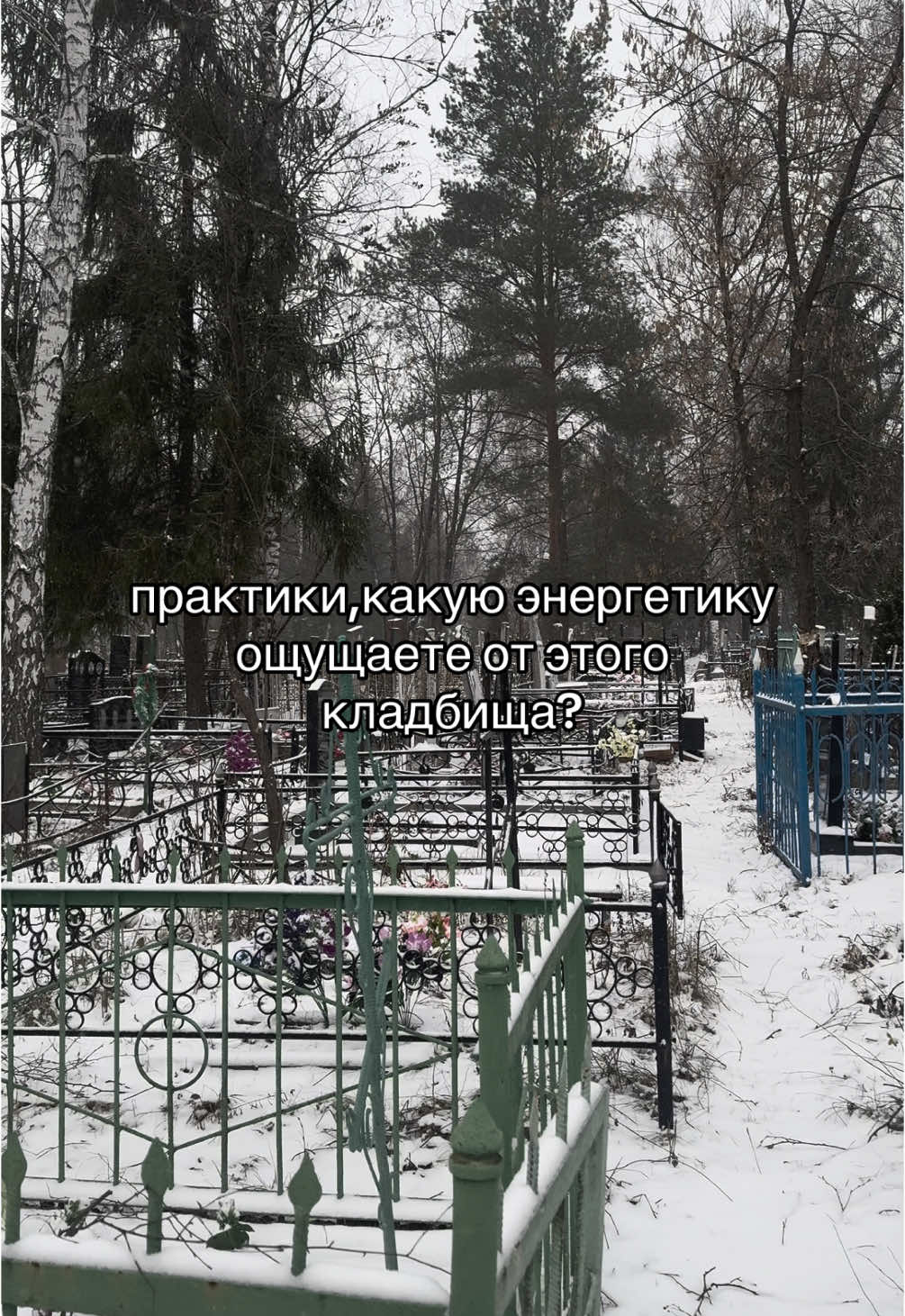 @Виктория🕷️| черная мадонна