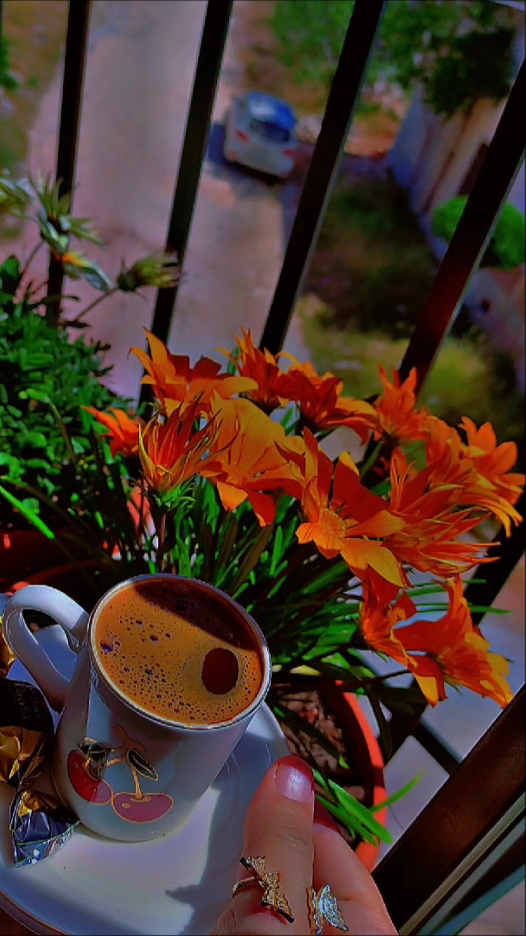 @🌸 زهرة النرجس🌸