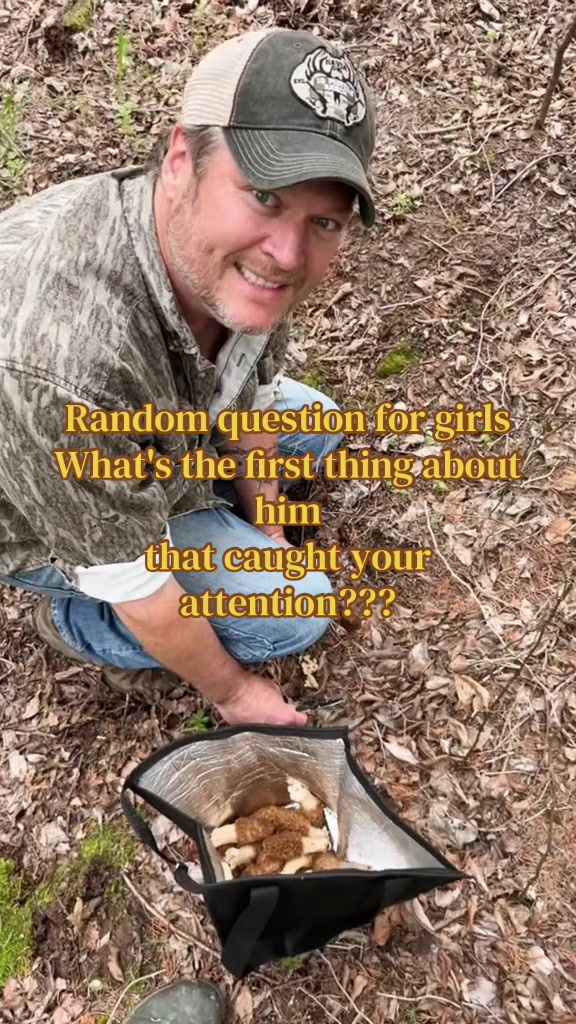 @Gwen Stefani fan page